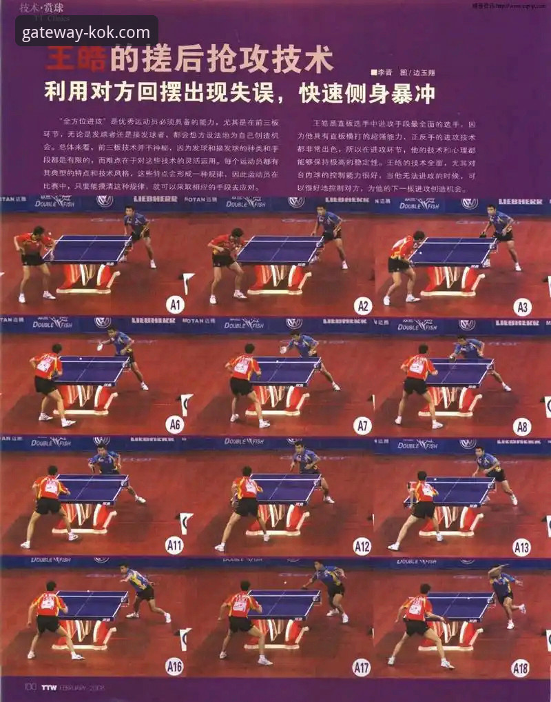 KOK体育平台实用指南：开启你的精彩体育之旅