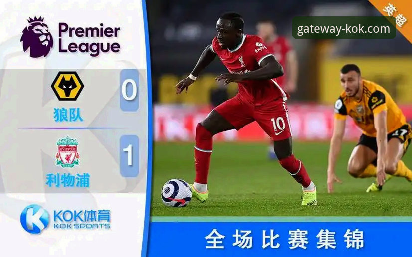 KOK体育信誉如何使用指南 揭秘KOK体育信誉:一份被忽视的深度使用指南